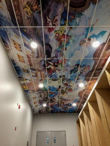 Ceiling Graphics - Specialty Item