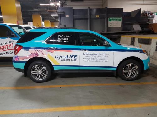 Dynalife - Vehicle Decal