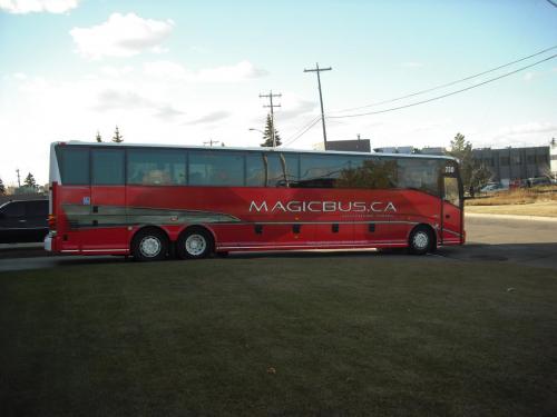 Magic Bus - Vehicle Decal